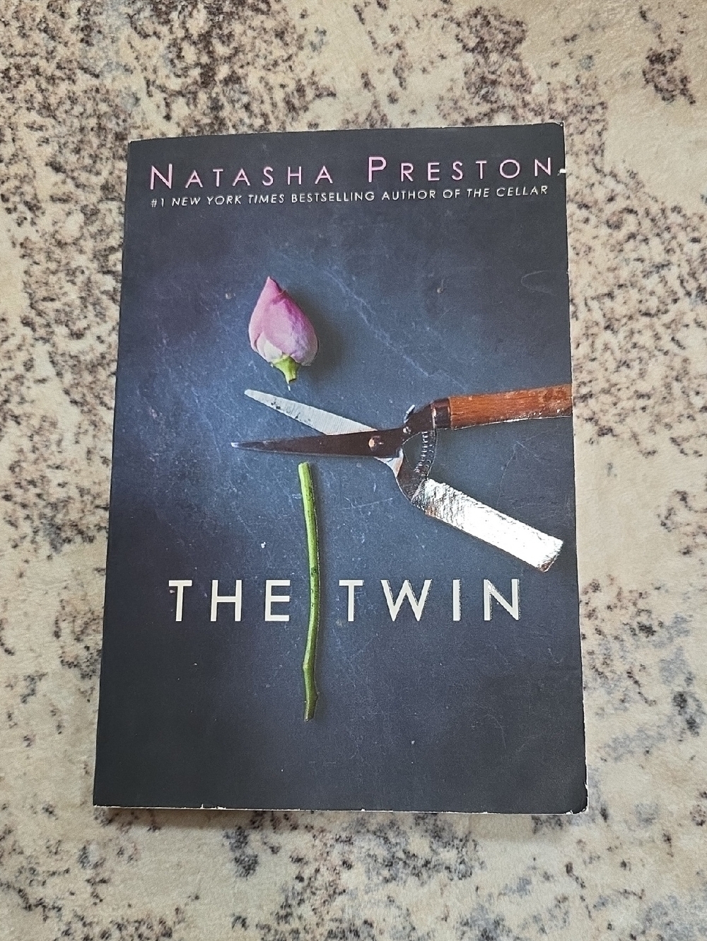"The Twin" Novel by Natasha Preston